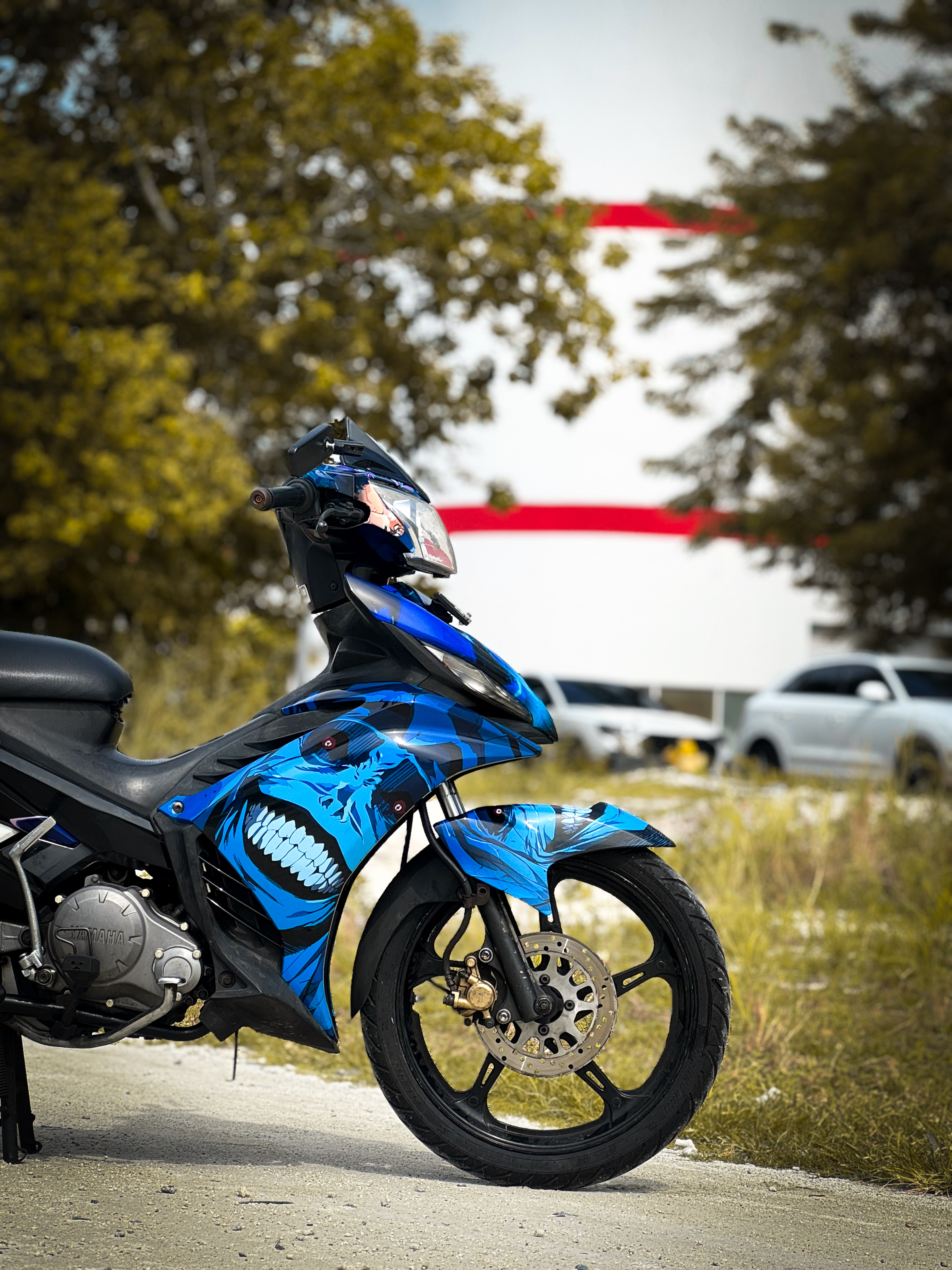 Exciter 135 Blue skull