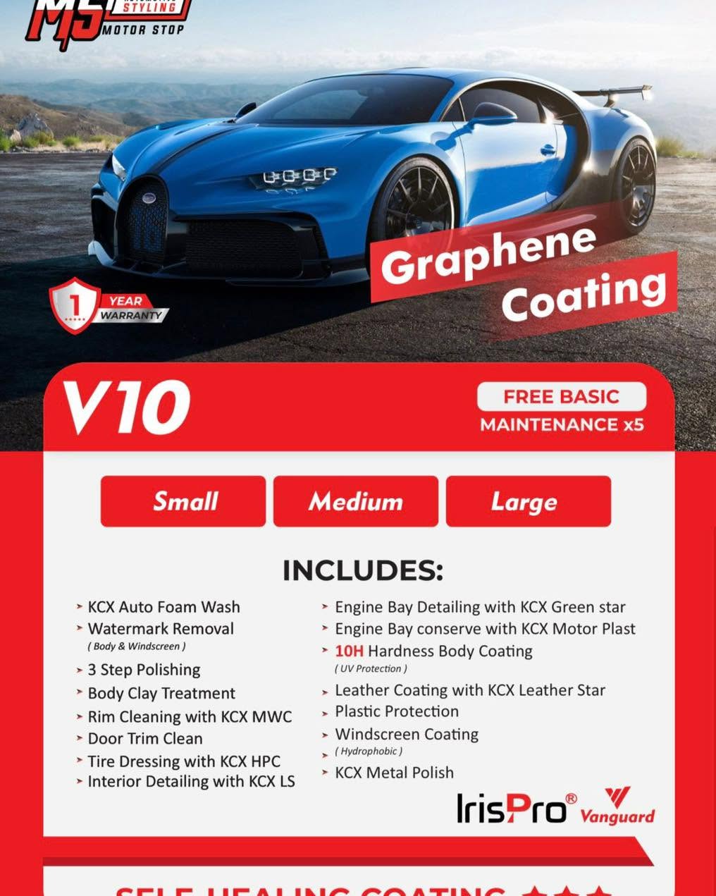 DUAL-LAYER GRAPHENE V10