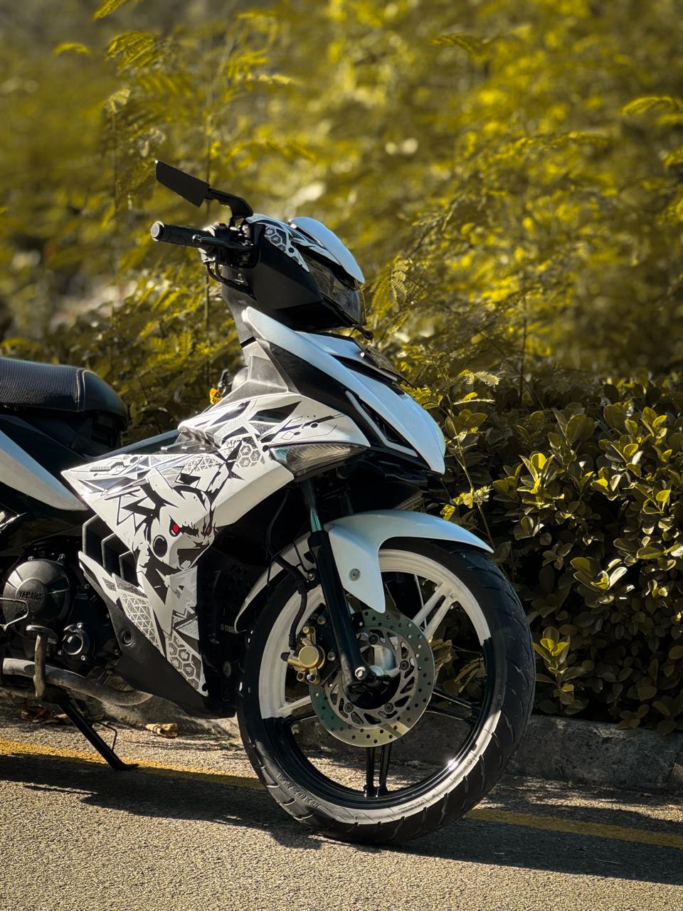 Black and white Y15