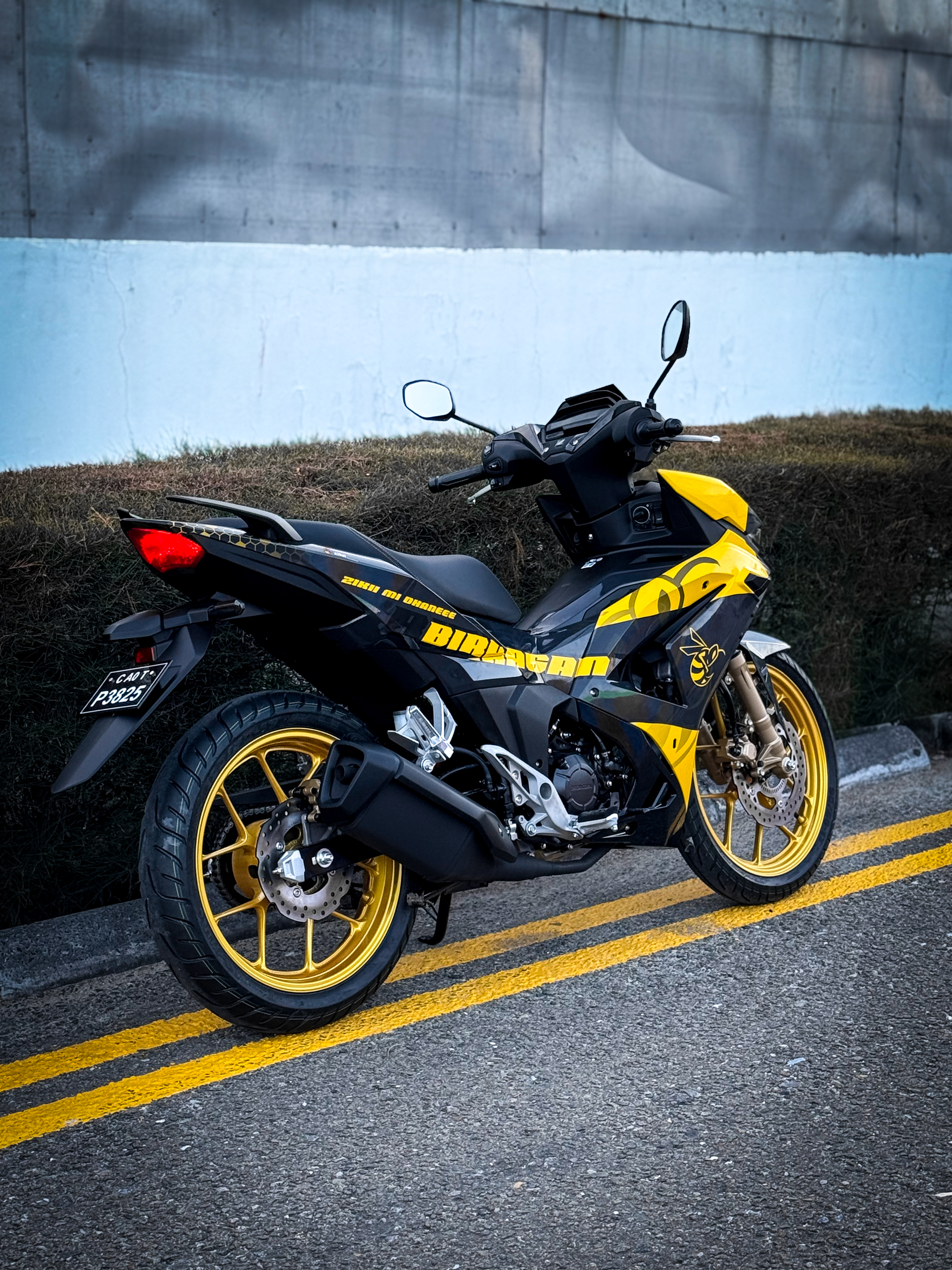 Y16 bumblebee 
