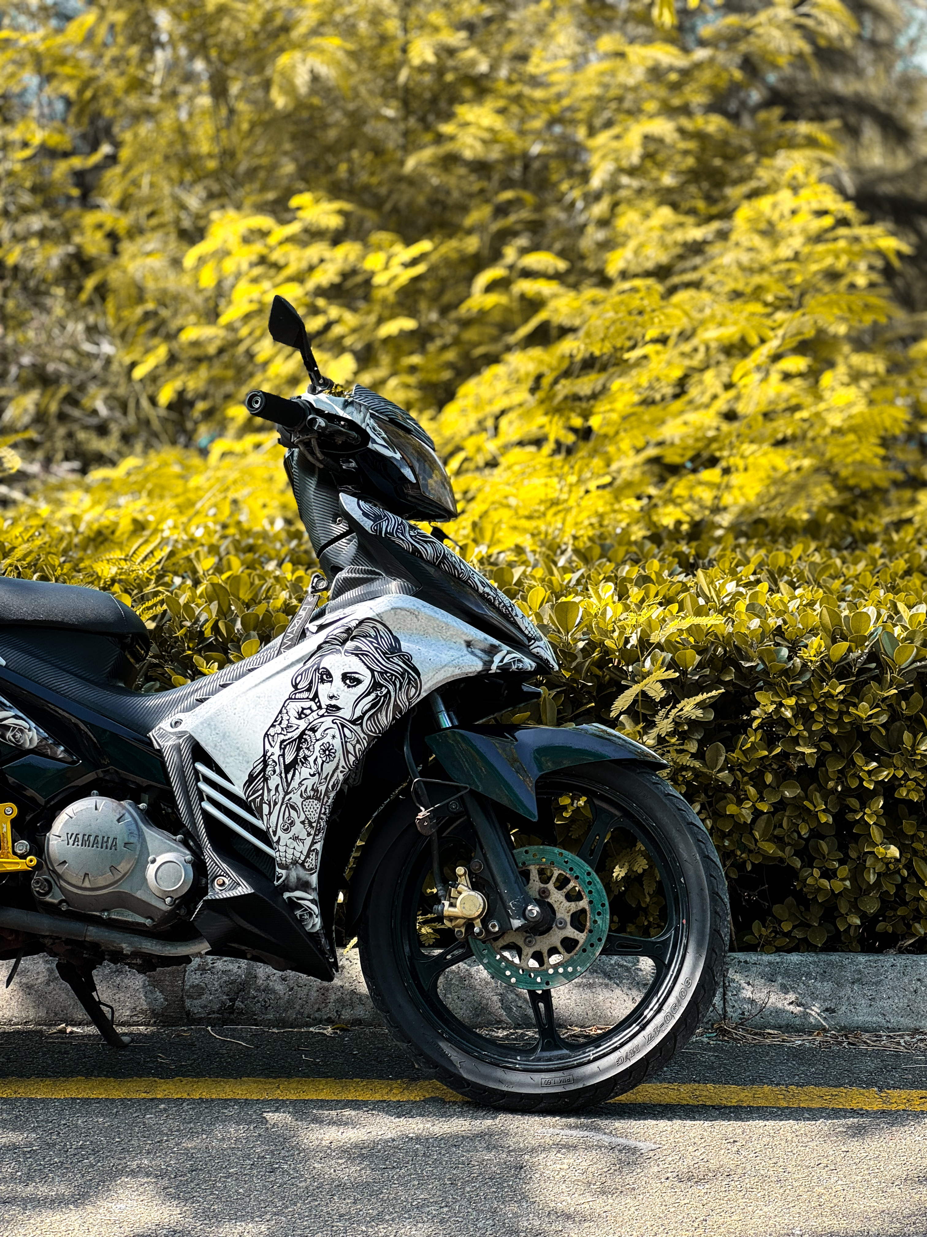 LC 135 Black N white
